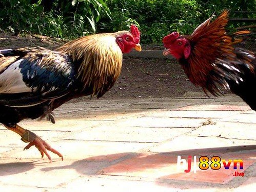 Khám Phá Thế Giới Giải Trí Trực Tuyến Với Review Khu Du Lịch Bến Xưa Hướng Dẫn Chi Tiết Và Kinh Nghiệm Cá Nhân